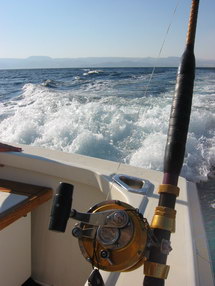 Big Game Fishing